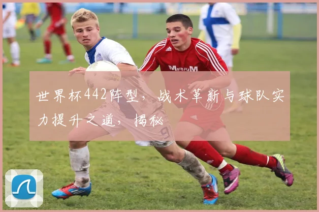 世界杯442阵型，战术革新与球队实力提升之道，揭秘