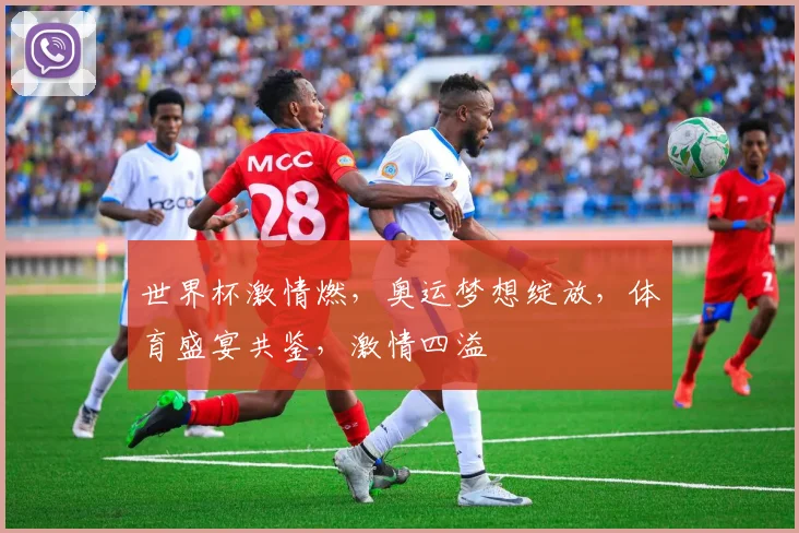 世界杯激情燃，奥运梦想绽放，体育盛宴共鉴，激情四溢