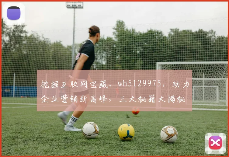 挖掘互联网宝藏，wh5129975，助力企业营销新高峰，三大秘籍大揭秘
