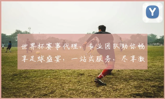世界杯赛事代理，专业团队助你畅享足球盛宴，一站式服务，尽享激情